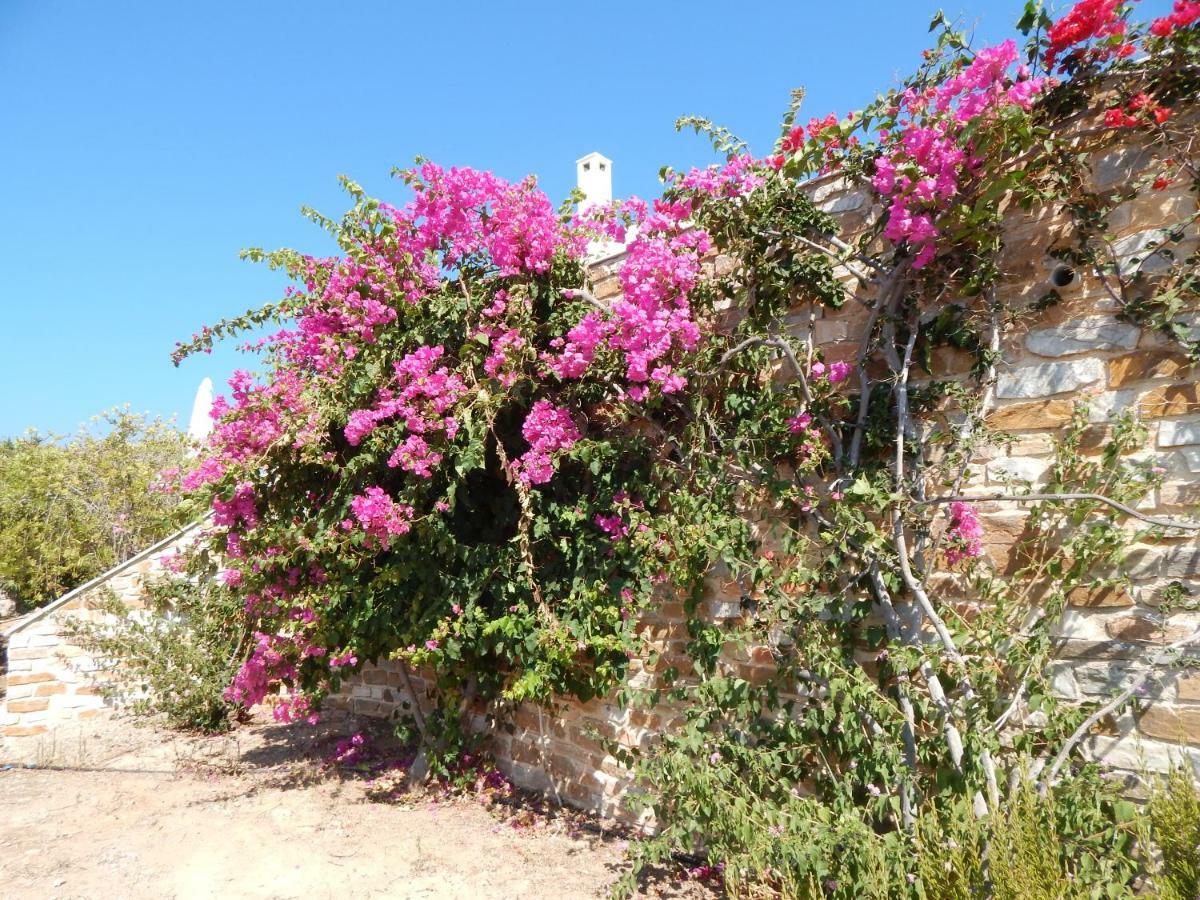 פיניקאס Villa Annita, With Extraordinary View Near The Sea מראה חיצוני תמונה